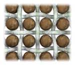 Backup_200107_Filter_Fig_1b