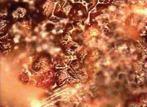 5bd6e681-a8af-4e75-adfe-d7a161c1162a_9-28-16