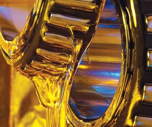 LessonsInLubrication_Gears_withoil
