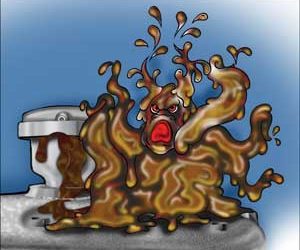 Demystifying Sludge and Varnish