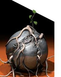 Root Cause Analysis Techniques for the Lubrication Professional