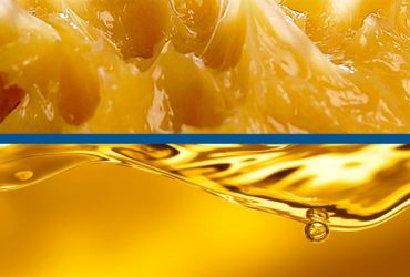 Can You Replace Oil with Grease