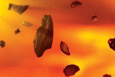 14 Point Checkup for Effective Oil Filtration