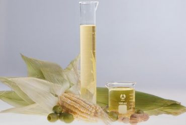 Are Bio-based Lubricants Worth the Extra Cost