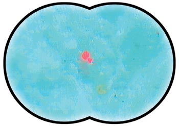 Oil Sampling Error Results In Heartburn