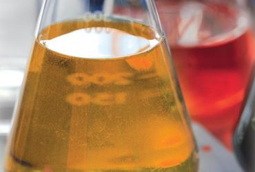 Synthetic Oil or Mineral Oil? How to Make the Right Choice