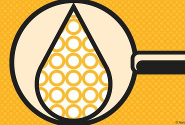 Synthetic Oil: What Consumers Need to Know