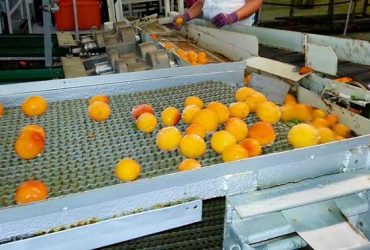 Food Processing Lubrication: 7 Critical Items for Success